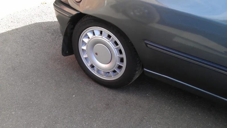 IMAG0464.webp