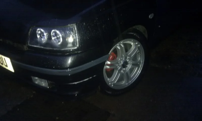 IMAG0498.webp