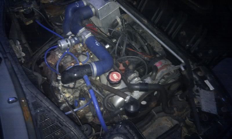 IMAG0501.jpg IMAG0501.jpg