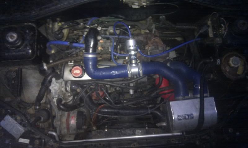 IMAG0504.jpg IMAG0504.jpg