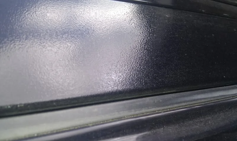 IMAG0605.webp