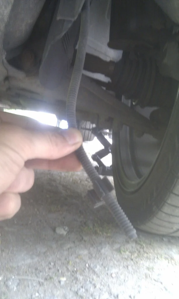 IMAG0619.webp