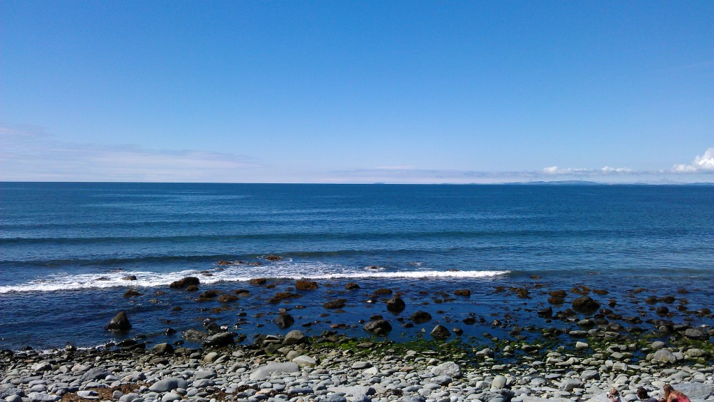 IMAG0625.jpg