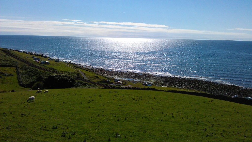 IMAG0626.jpg
