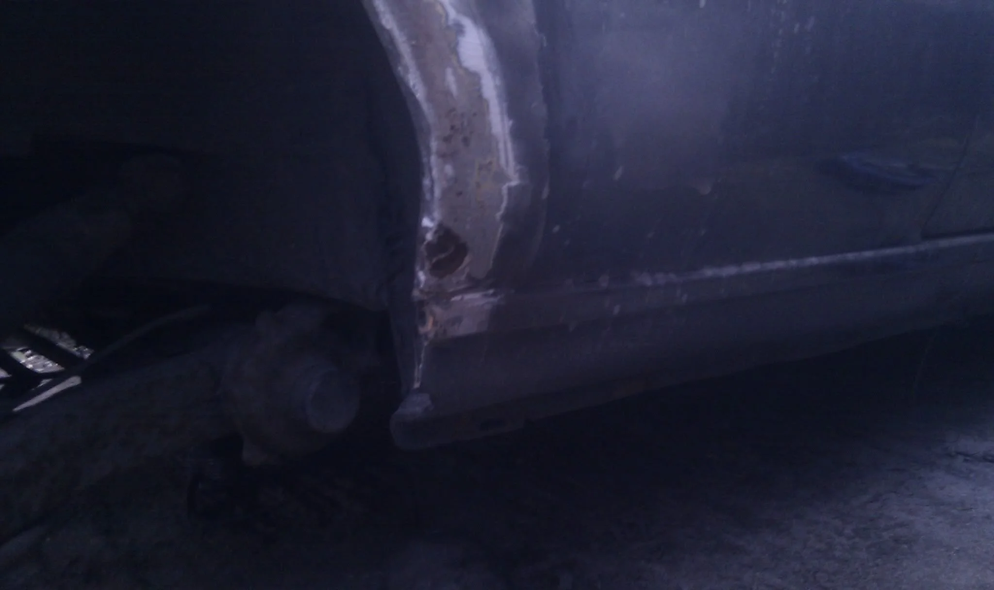 IMAG0661.webp