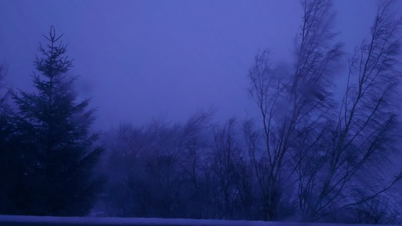 IMAG0746_zpse4e7dbd3.jpg