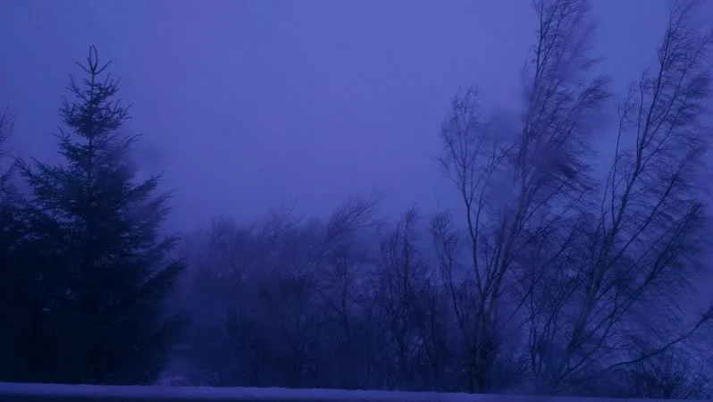 IMAG0746_zpse4e7dbd3.webp