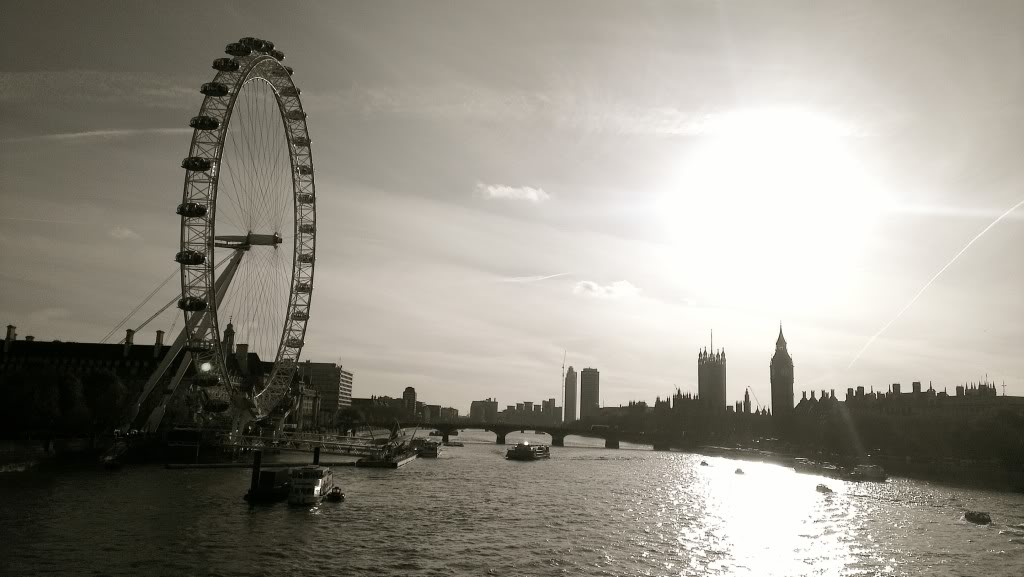 IMAG0937-1.jpg IMAG0937-1.jpg