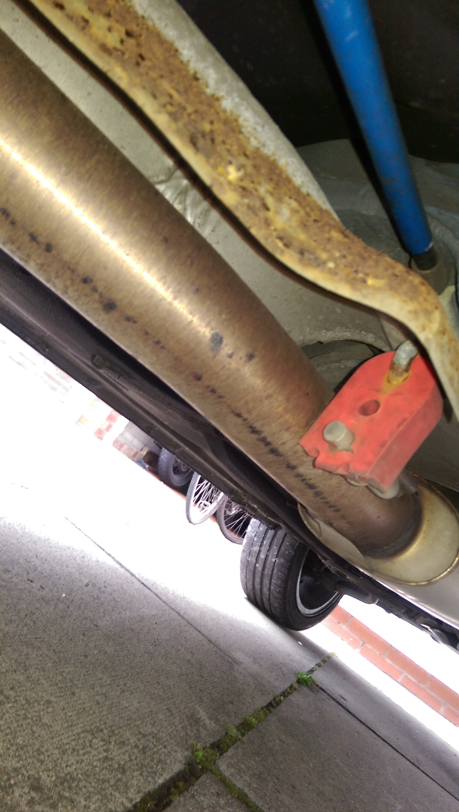 IMAG0956.jpg