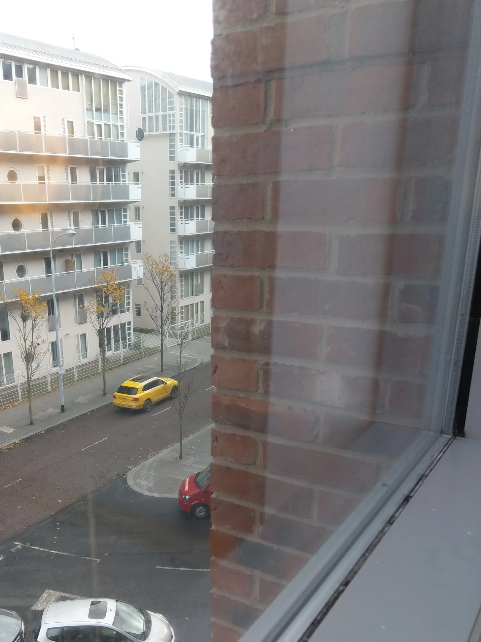IMAG1055[9638].webp
