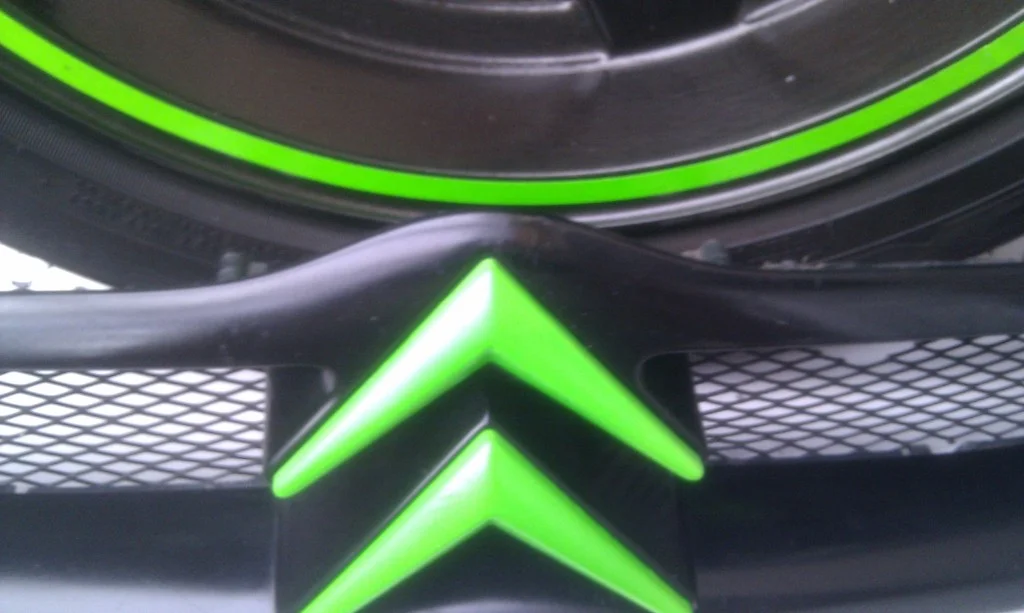 IMAG1174.webp
