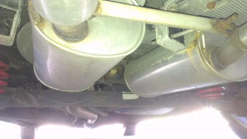 IMAG1381.webp