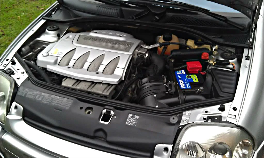 IMAG1433.webp