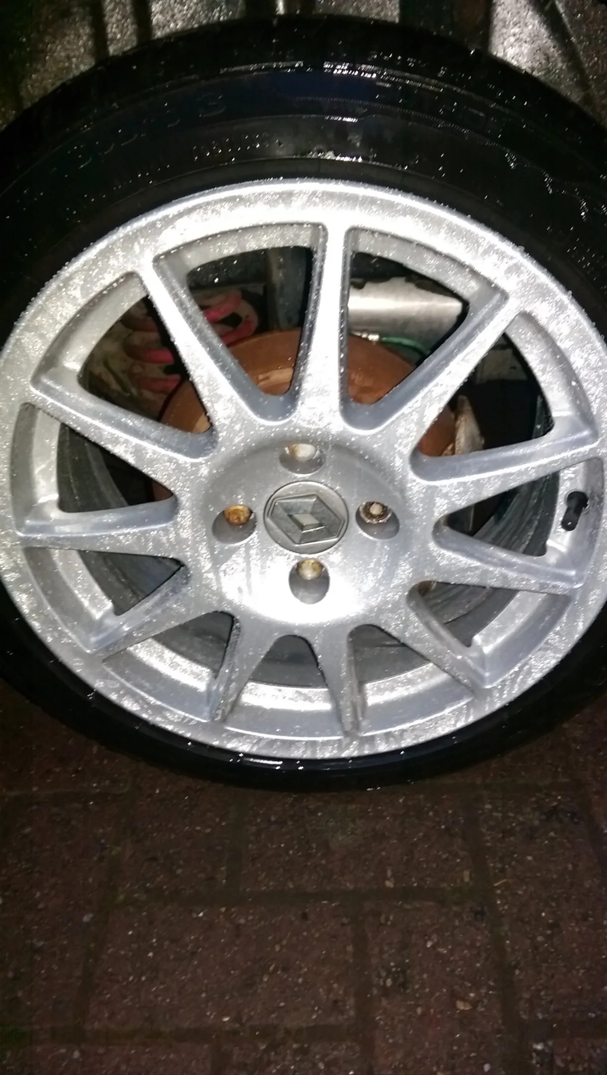IMAG1577.webp