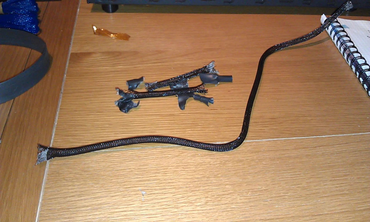 IMAG1595.webp