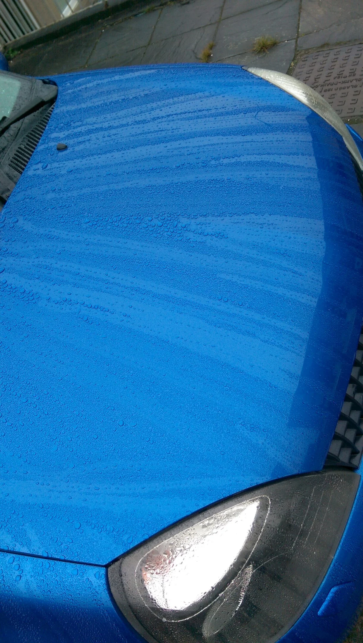 IMAG1603.webp