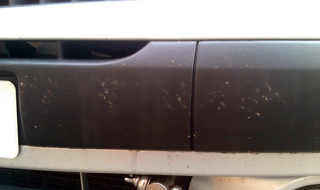 IMAG1679_zpsaab9b488.webp