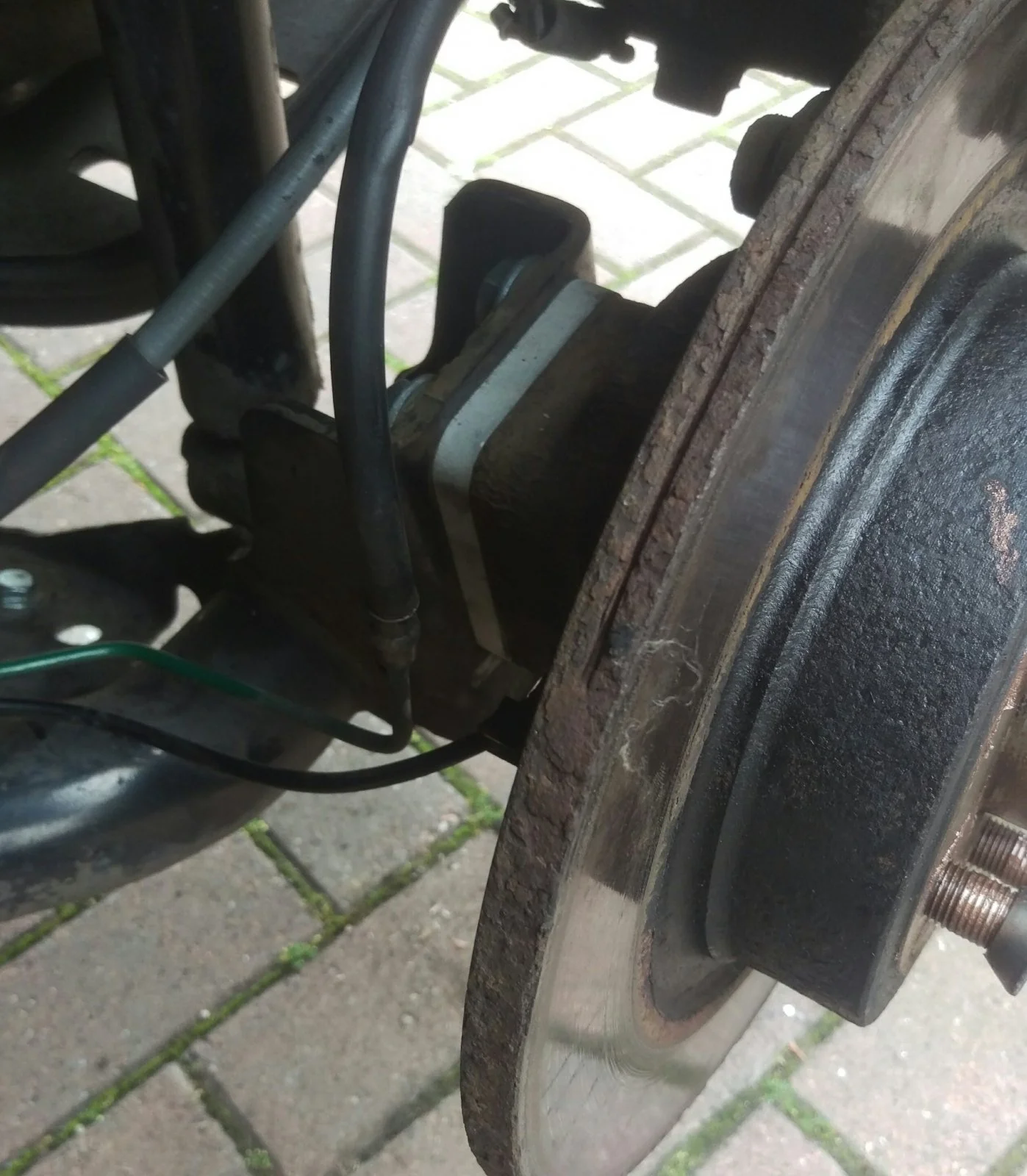 IMAG1878_1.webp