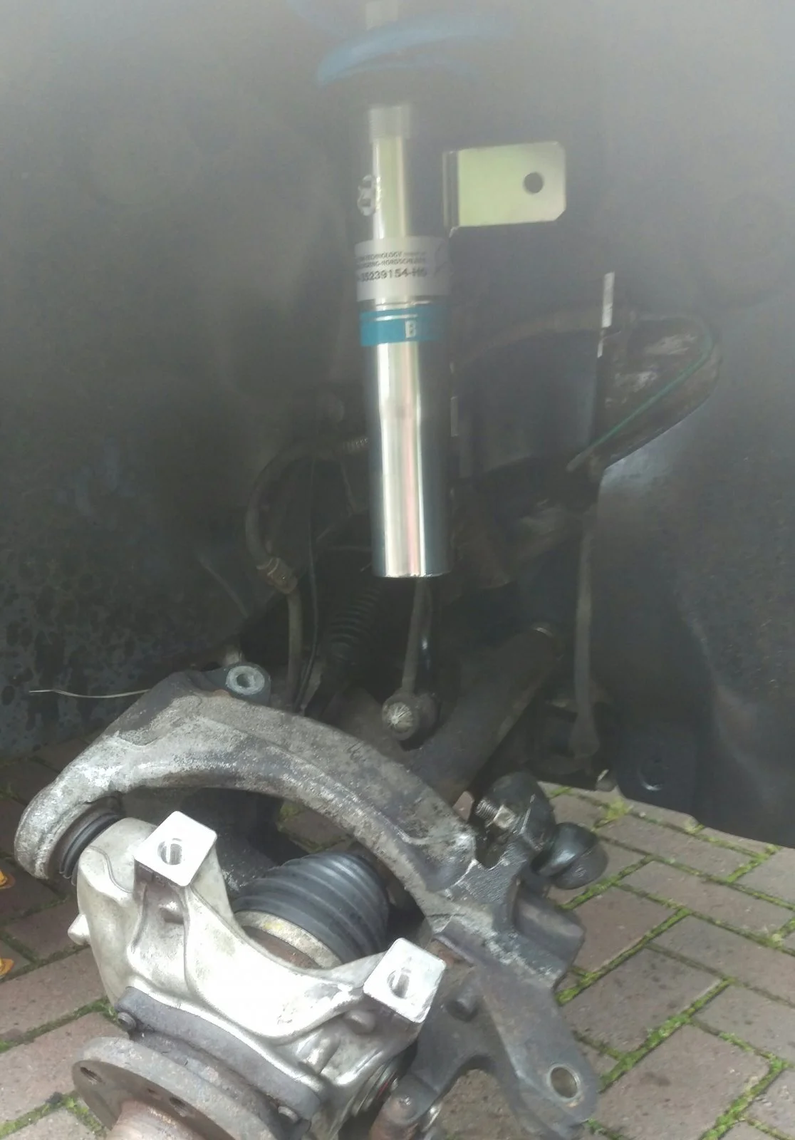 IMAG1957_1.webp