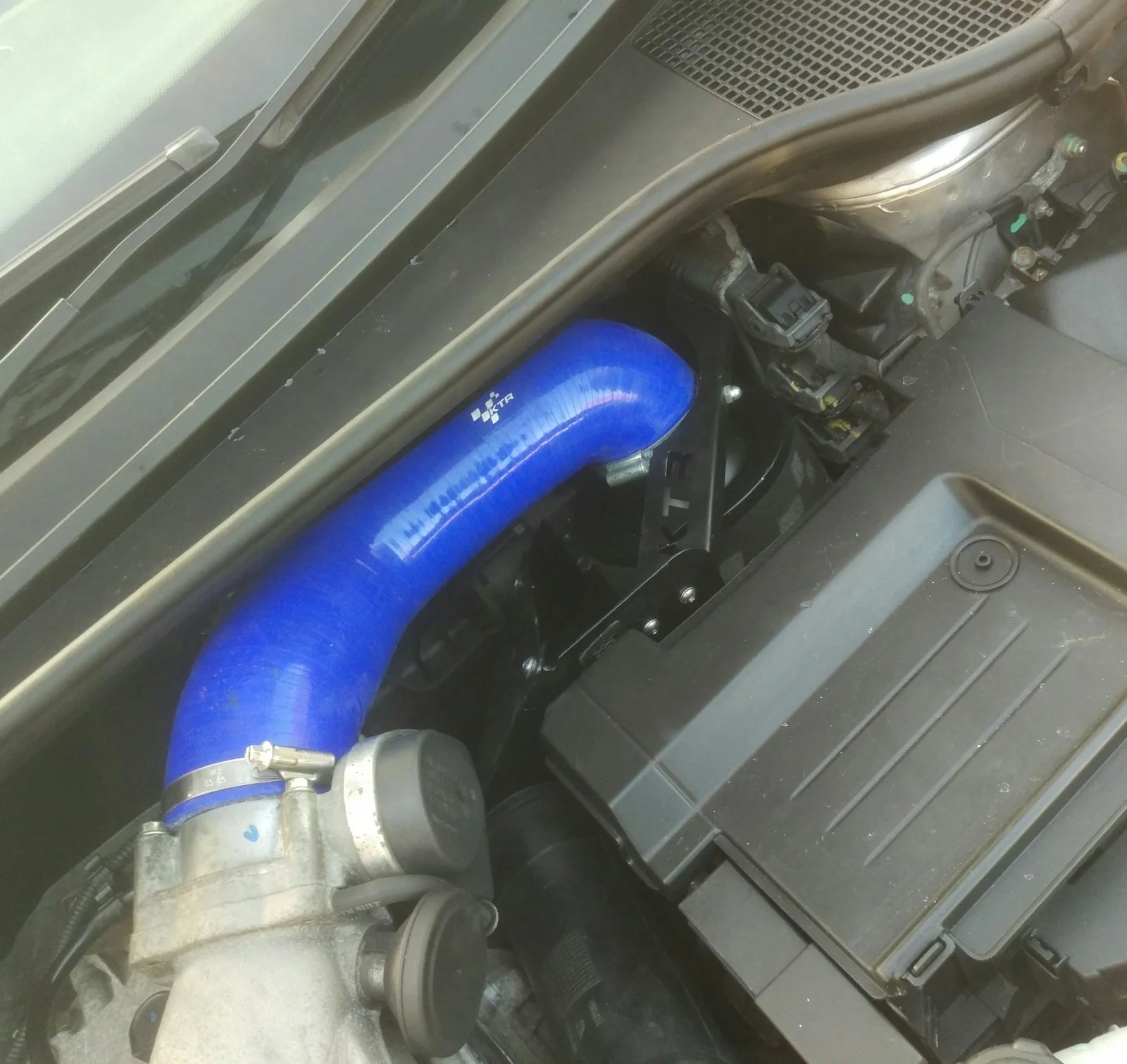IMAG2052_1.webp