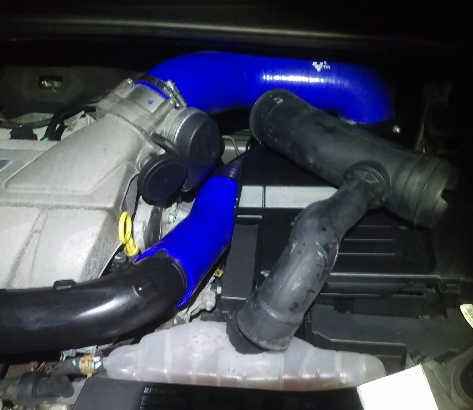 IMAG2175_1.webp