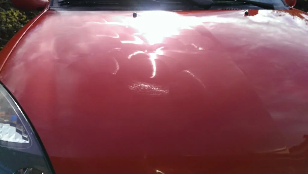 IMAG2386_zpse251800f.webp