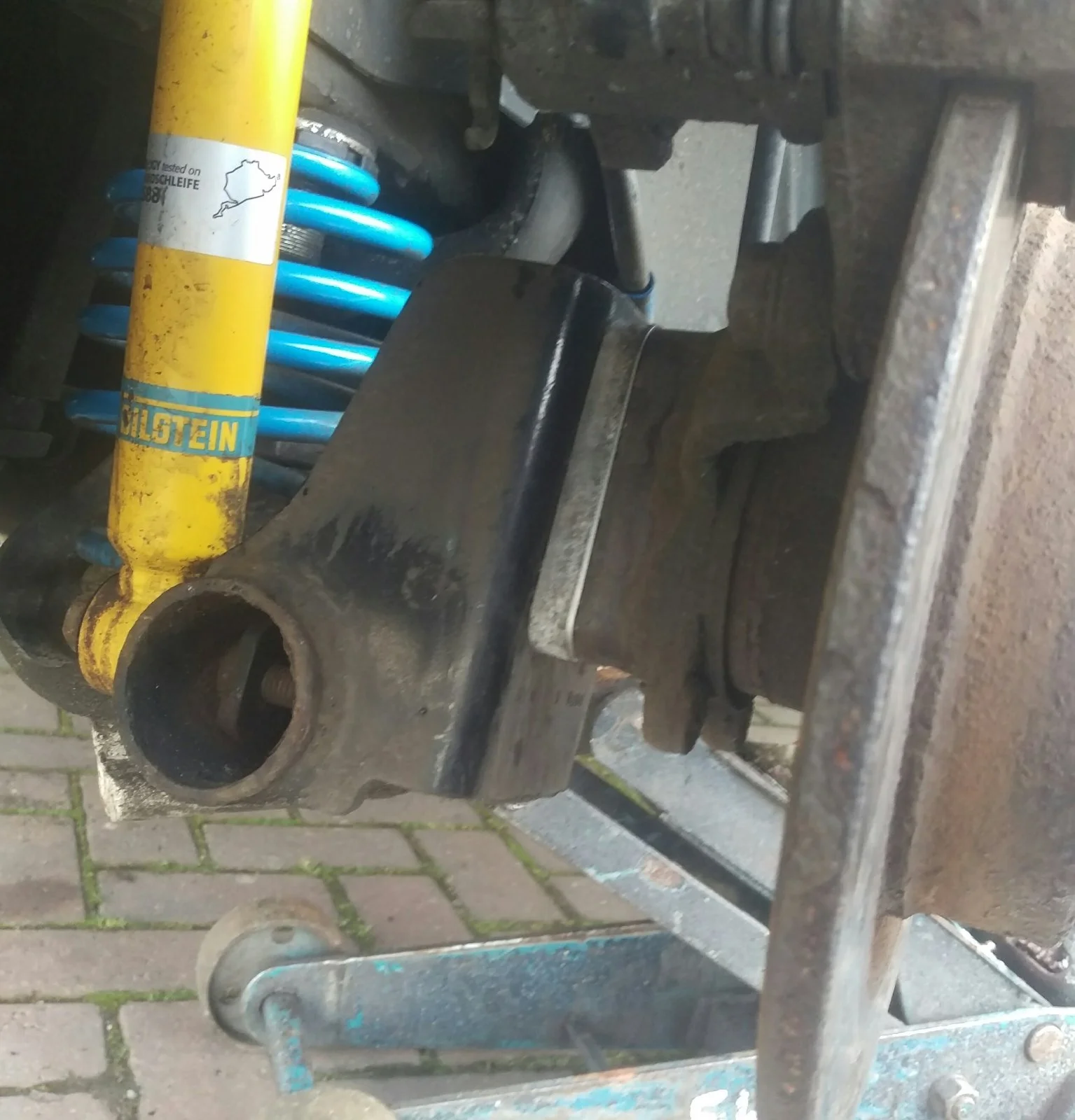 IMAG2431_1.webp