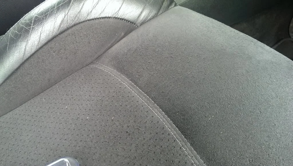 IMAG4530_zps21b04100.webp