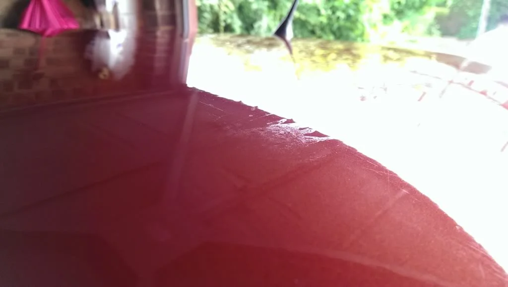 IMAG4632_zpsa2af6c3e.webp