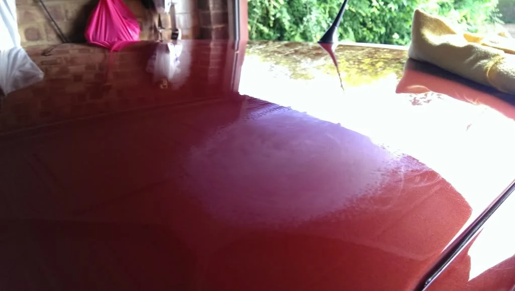 IMAG4635_zps2f4ba4d7.webp