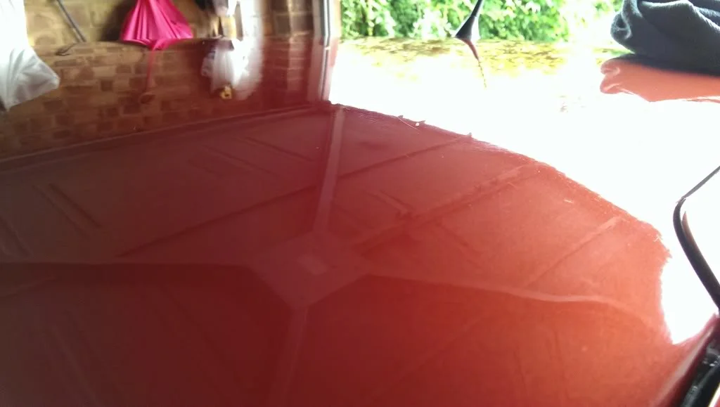 IMAG4637_zps656fcbd5.webp