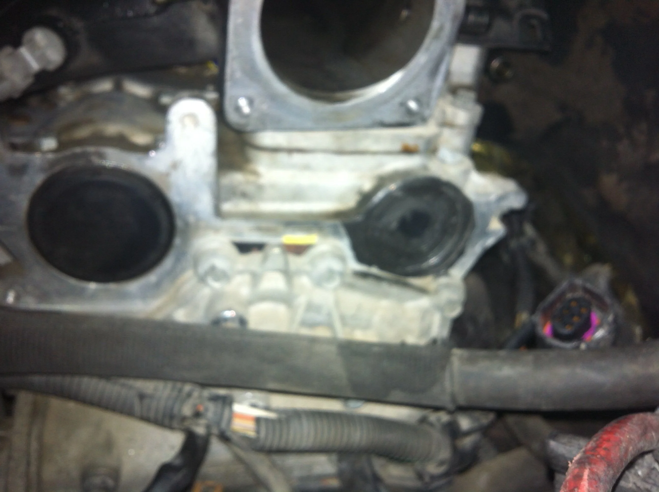 image (3).webp