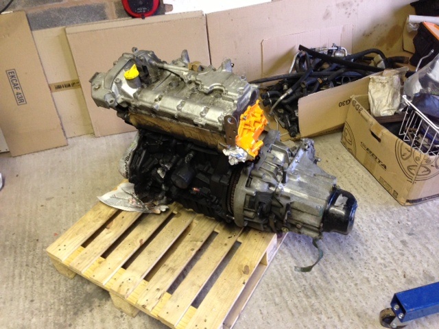 image-7.jpg