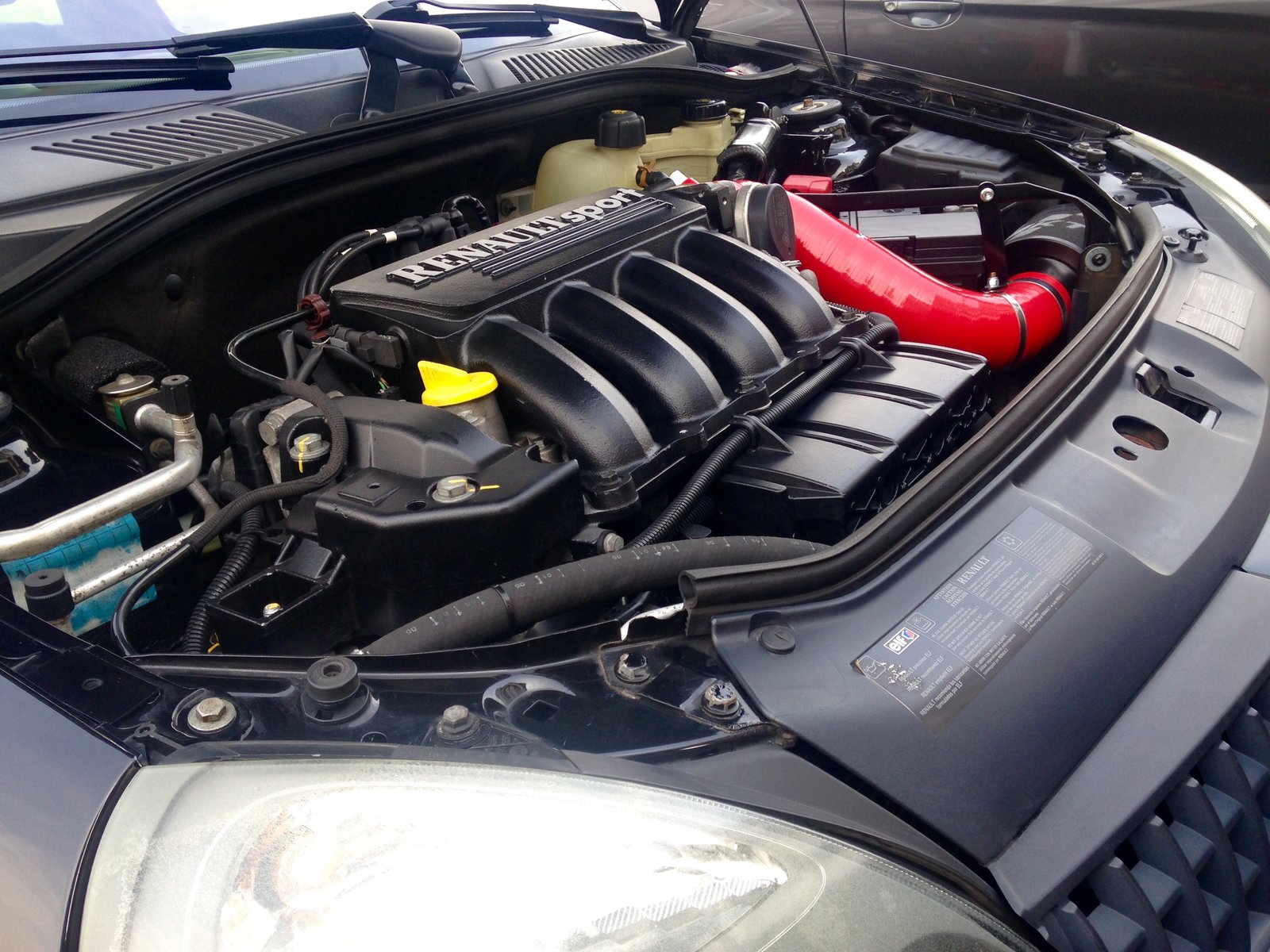 image.jpeg image.jpeg