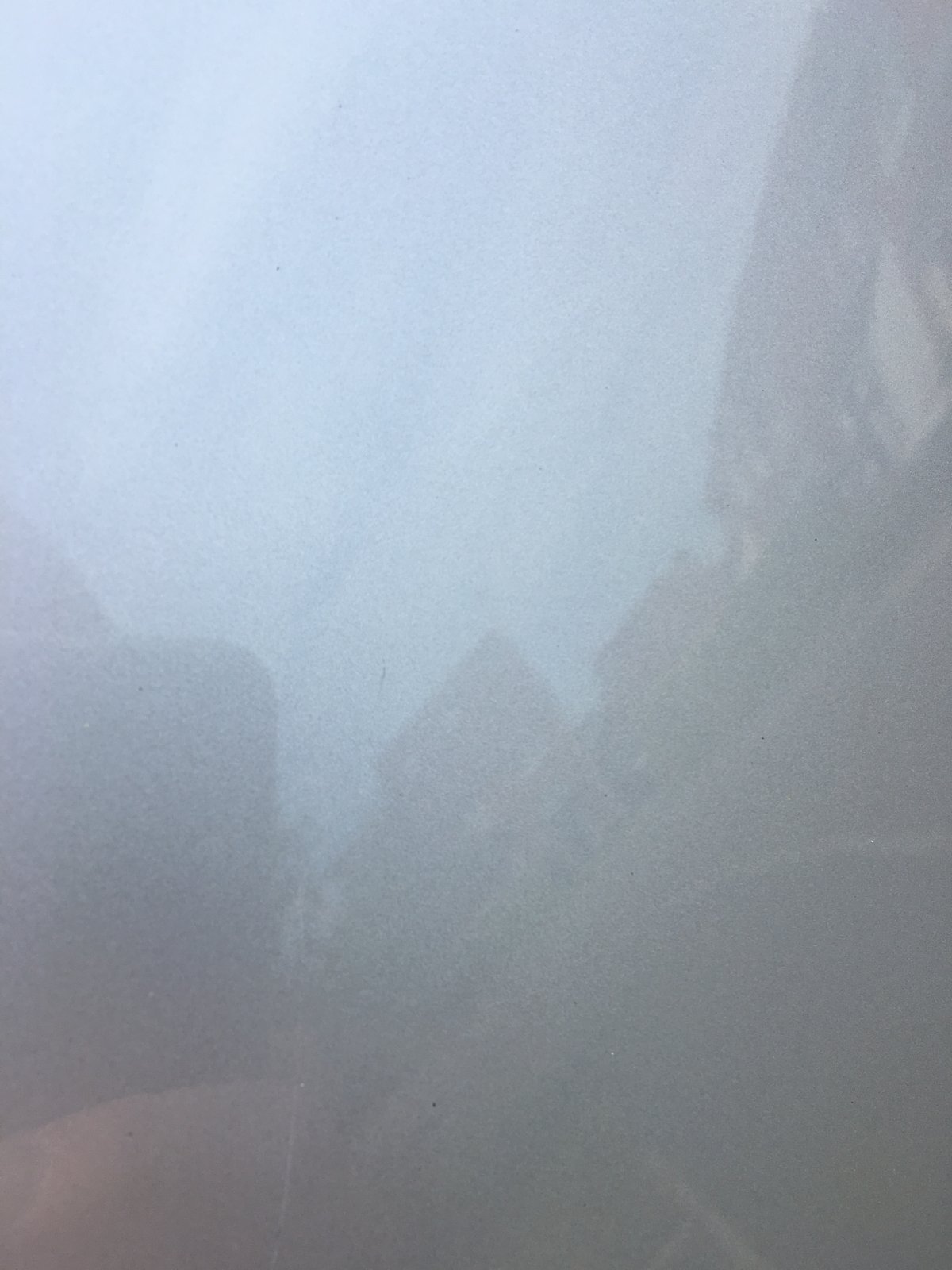 image.jpeg