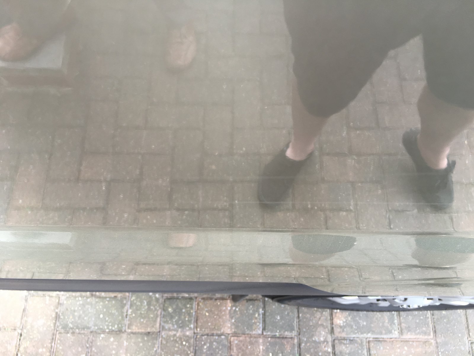 image.jpeg image.jpeg