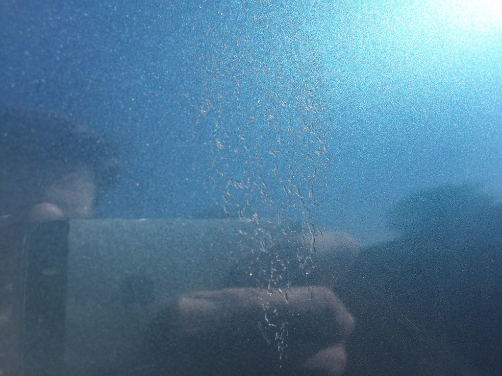 image.jpg48_zps8jxwhuiq.jpg
