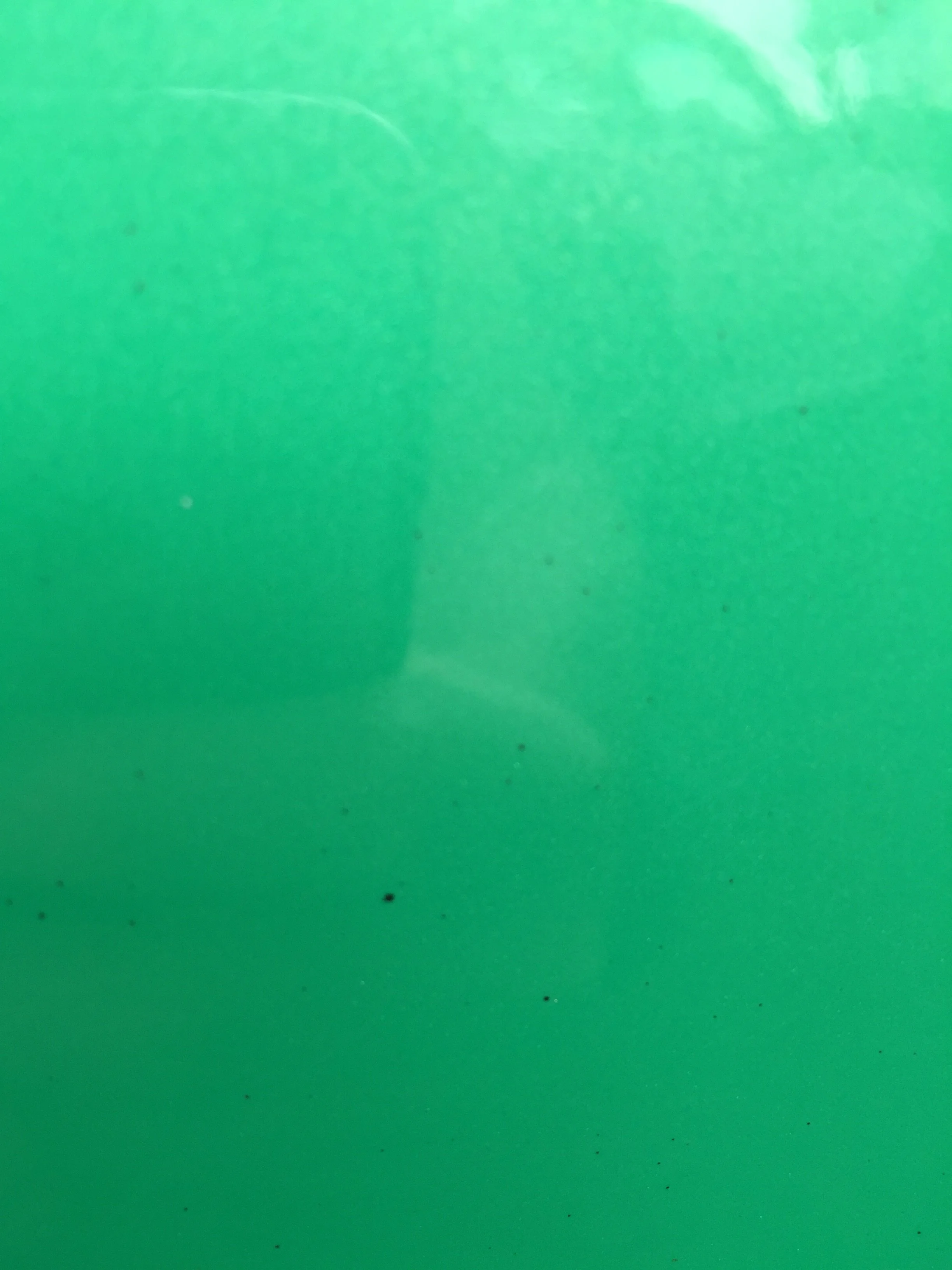 image.webp