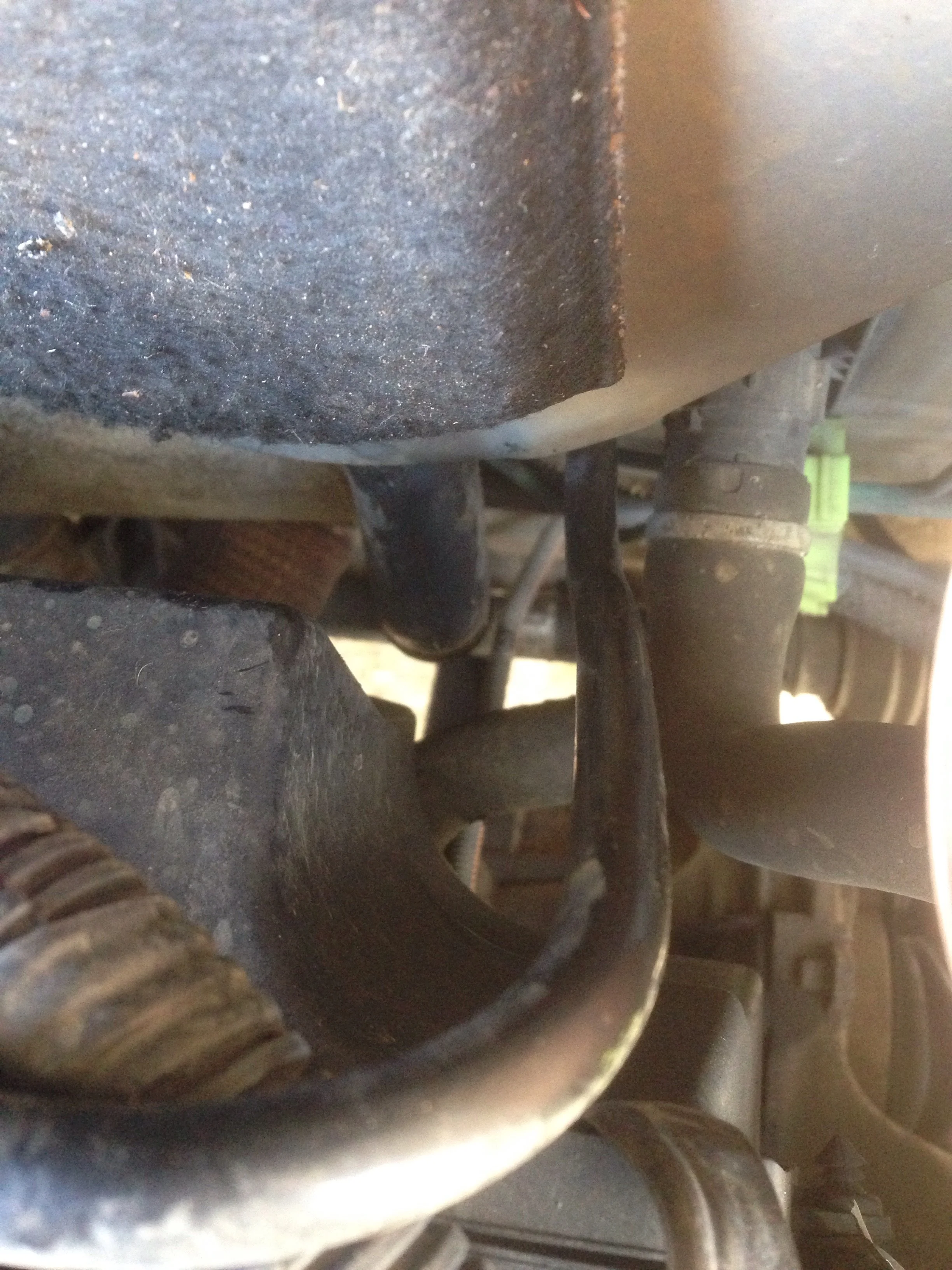 image.webp