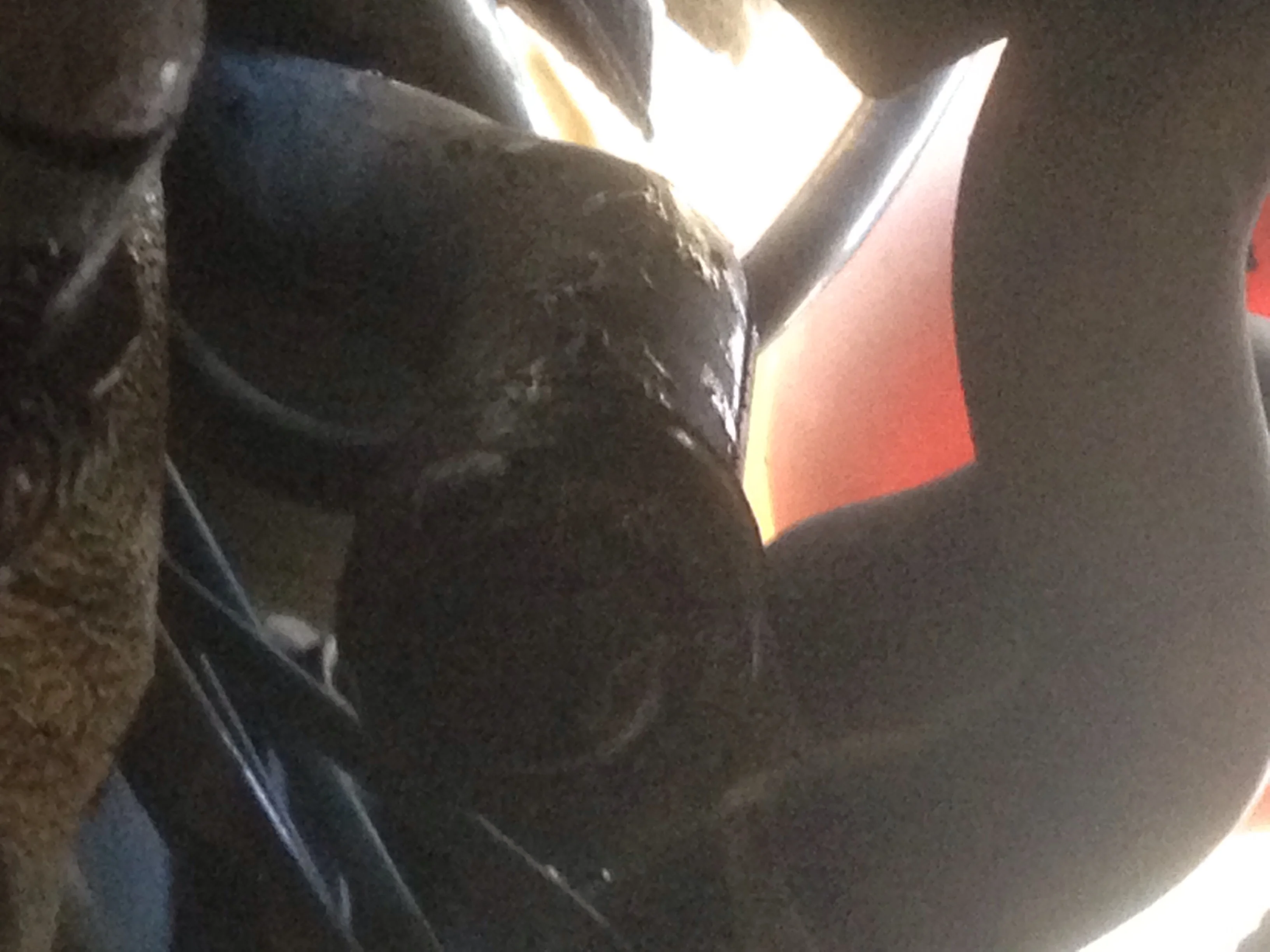 image.webp