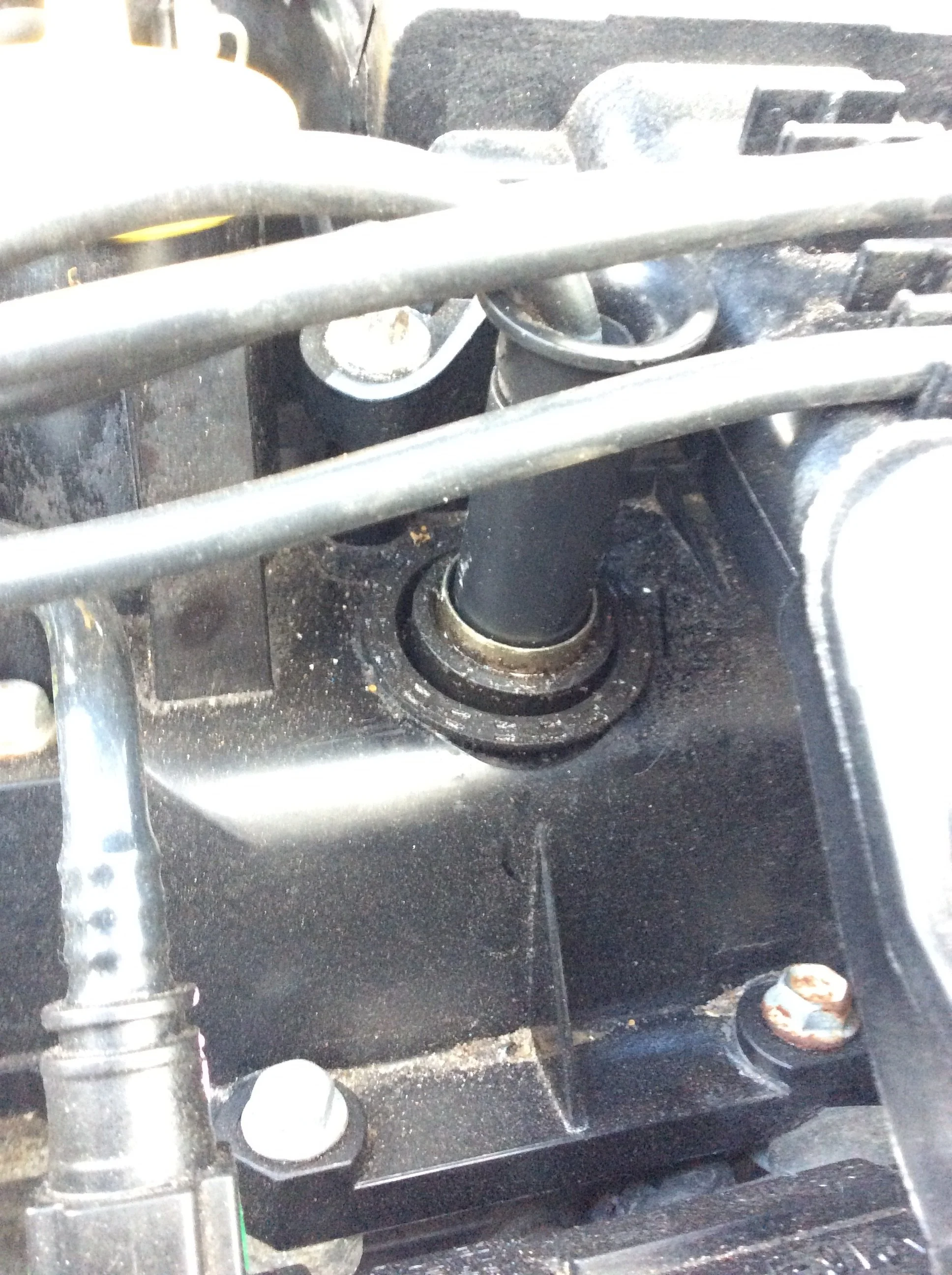 image.webp