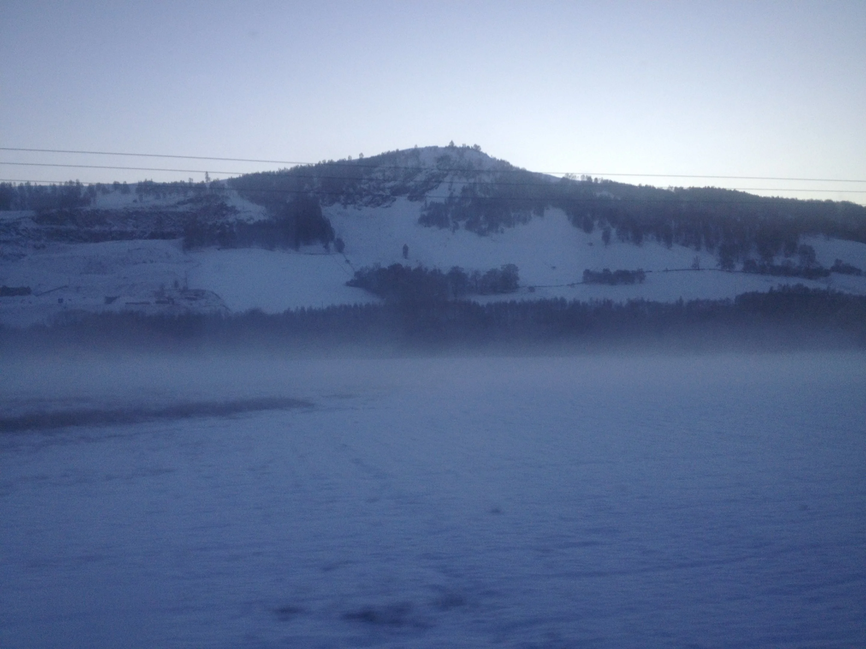 image.webp