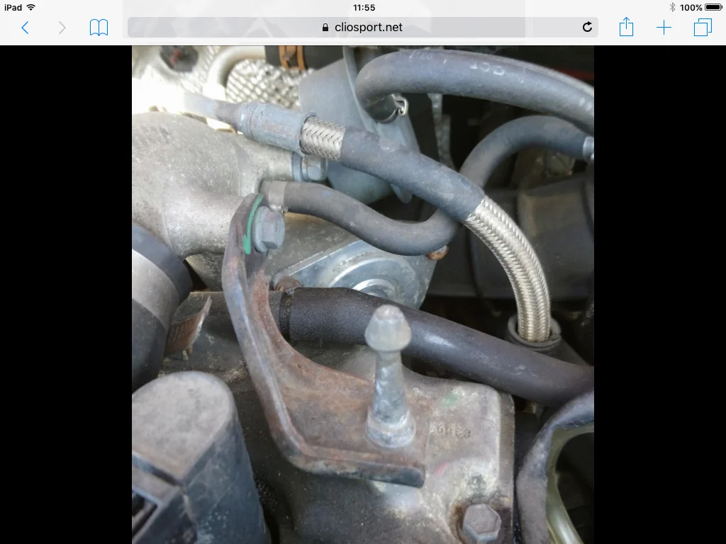 image.webp