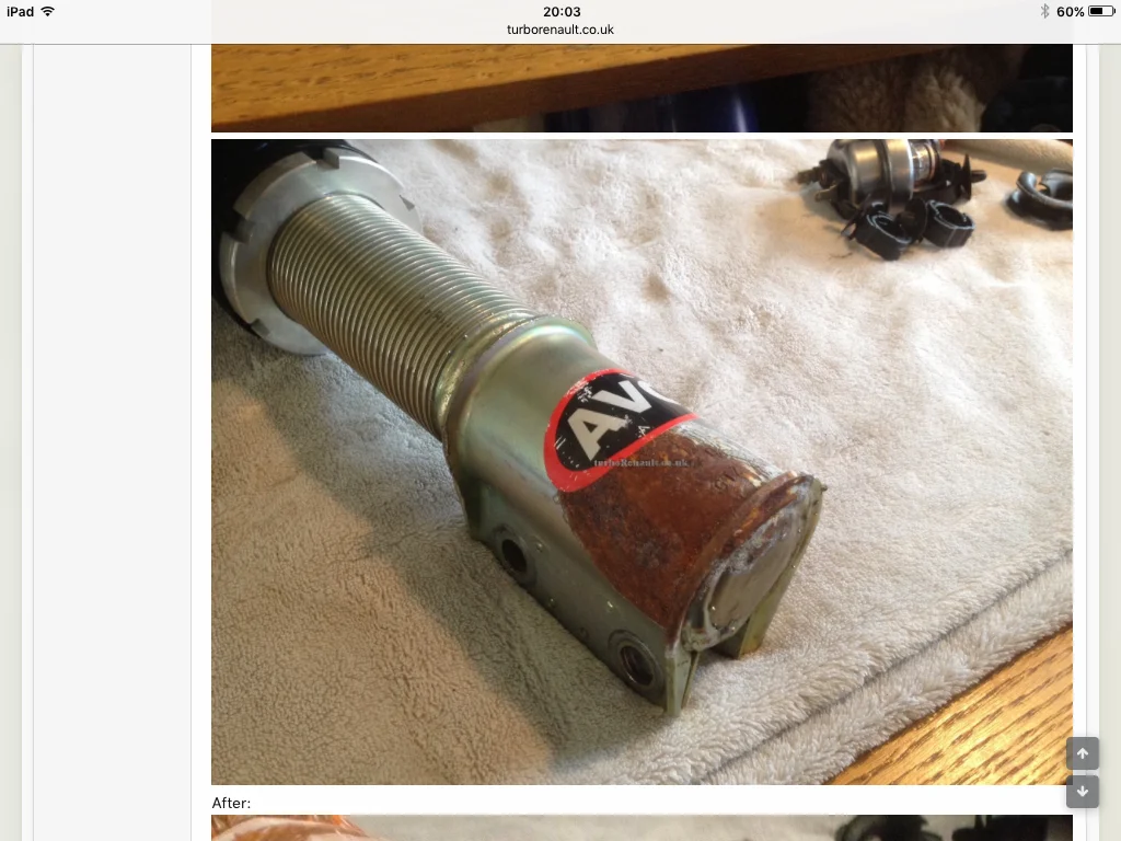 image.webp