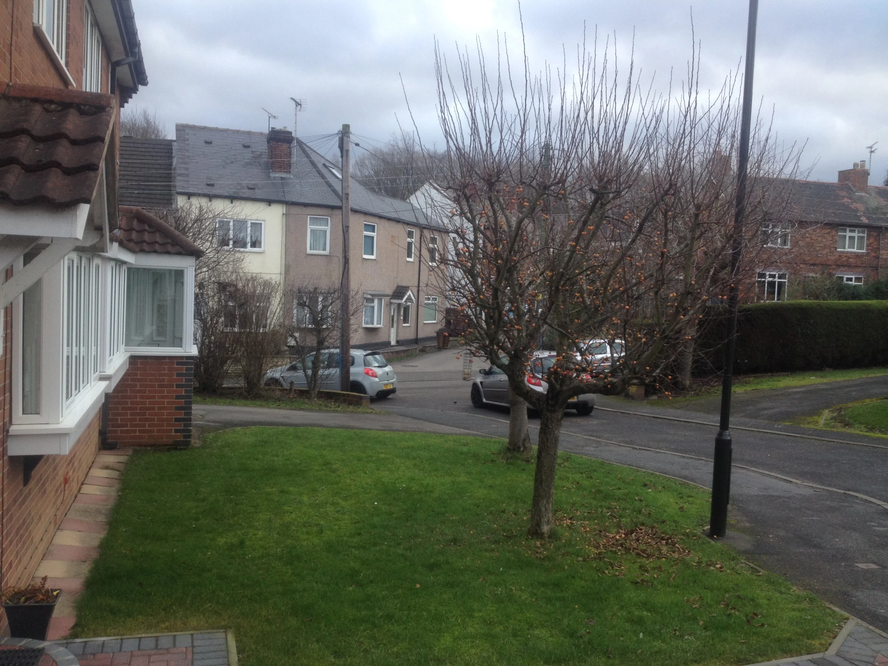 image.webp