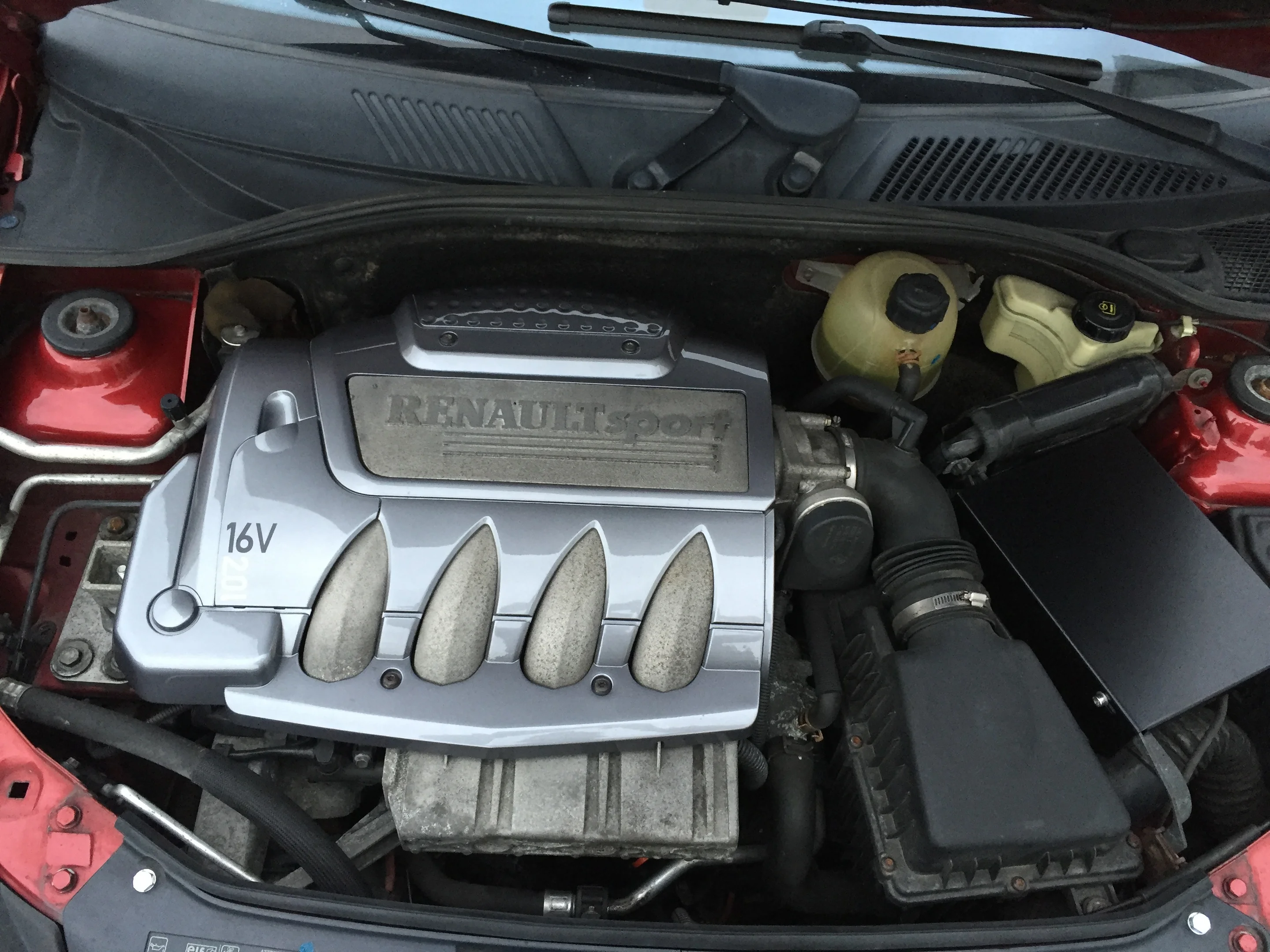 image.webp