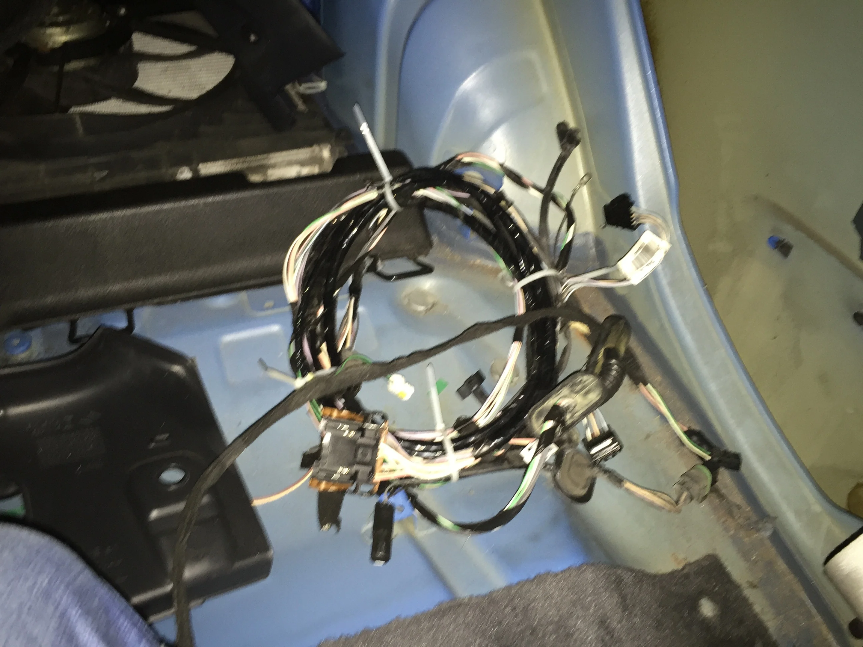image.webp