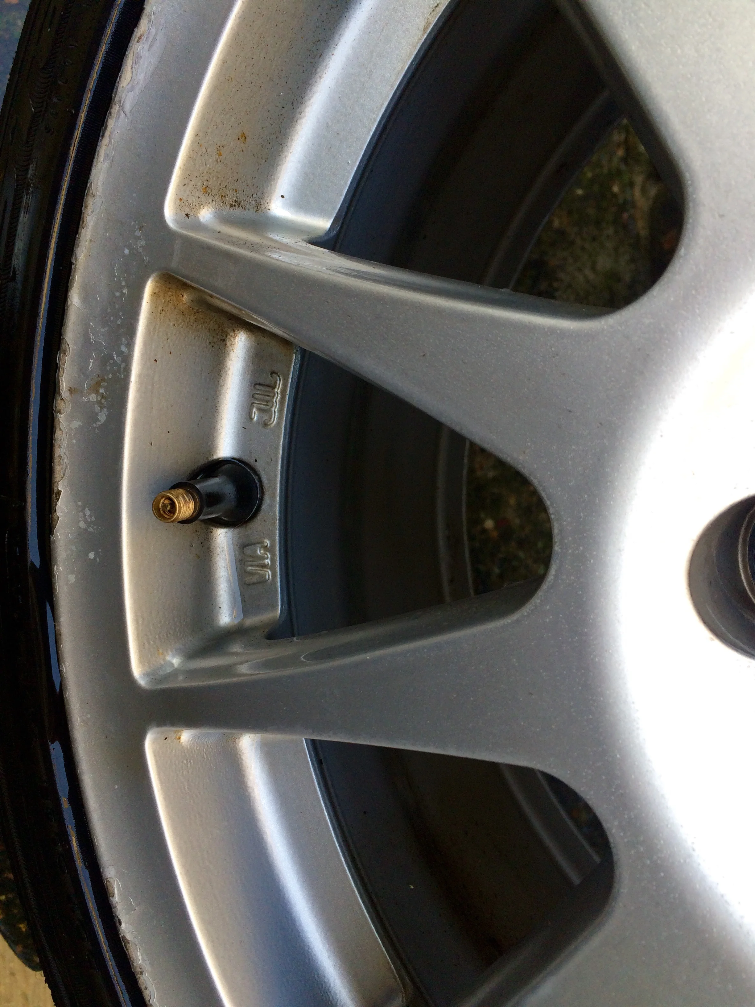 image.webp