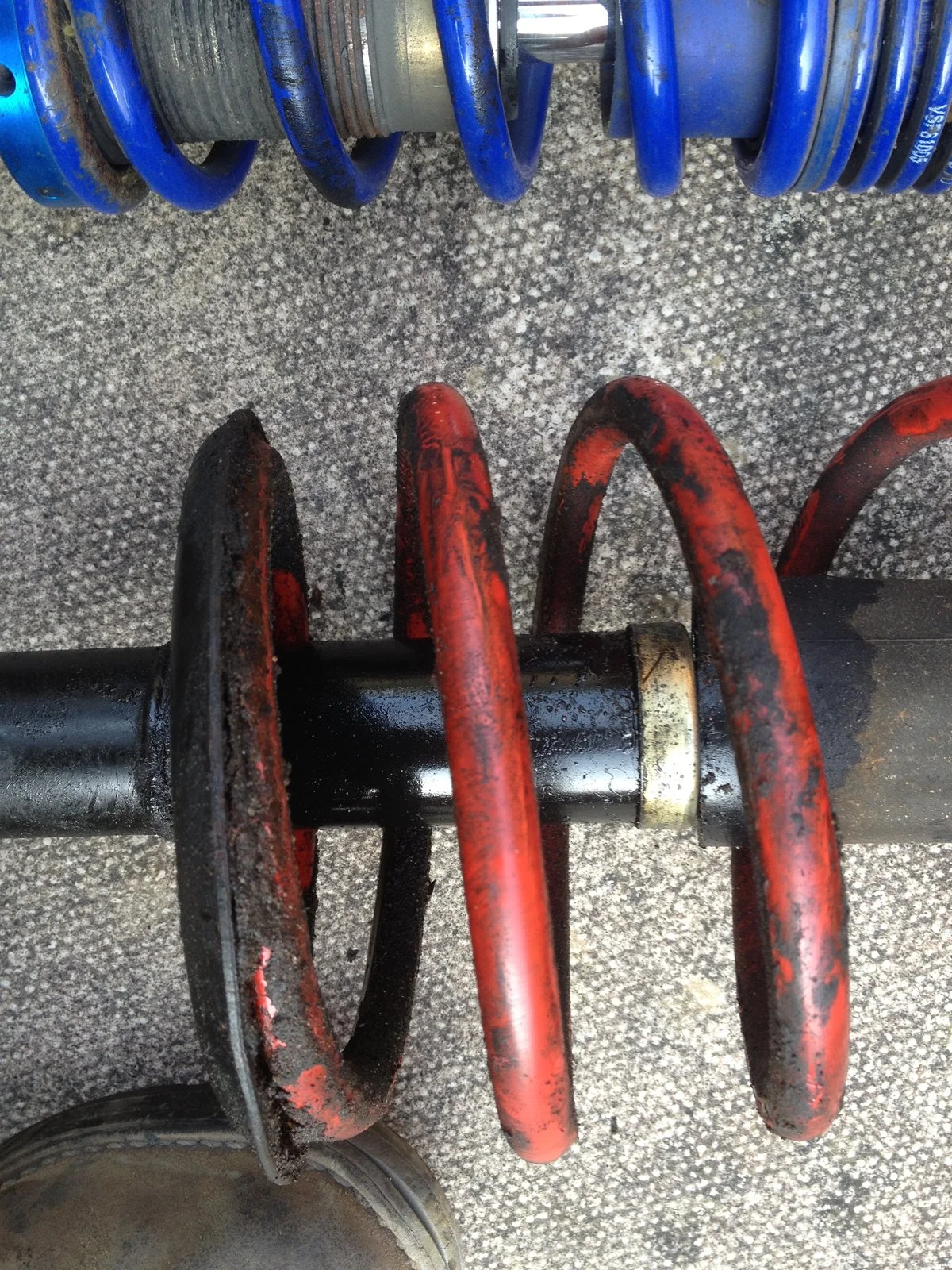 image.webp