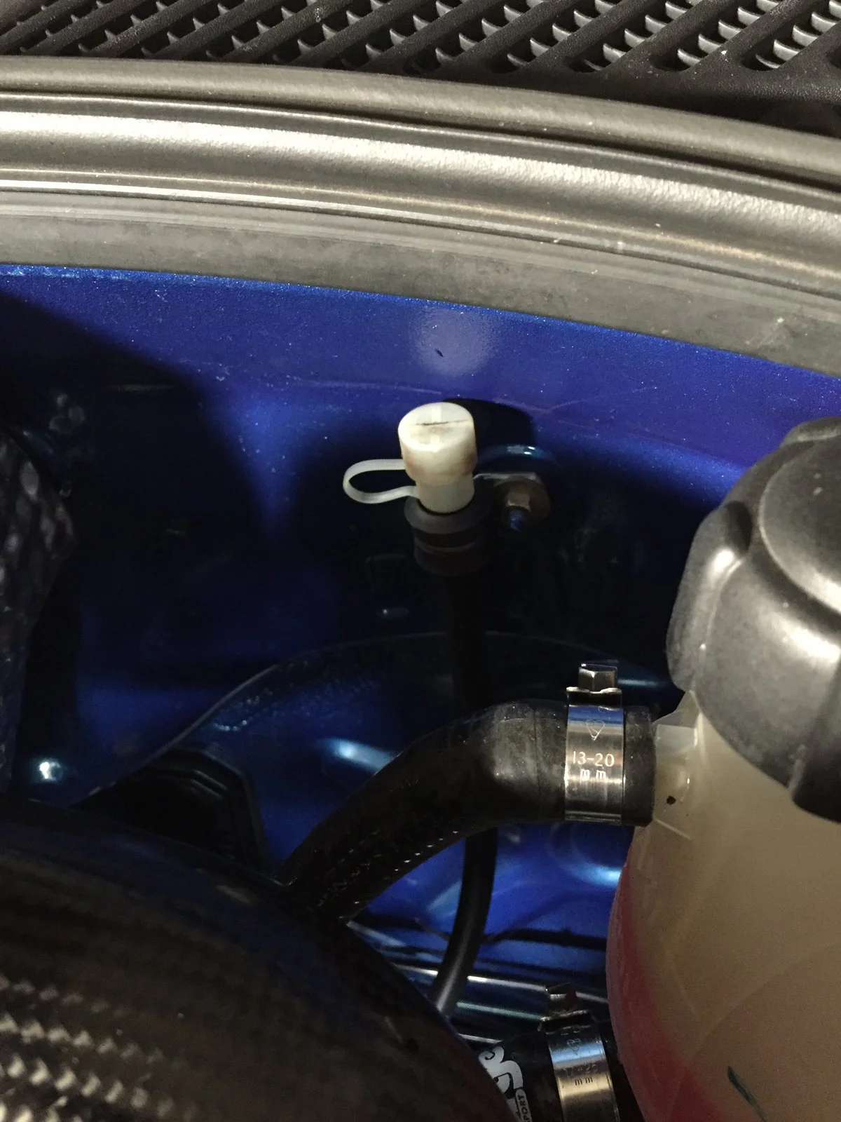 image.webp